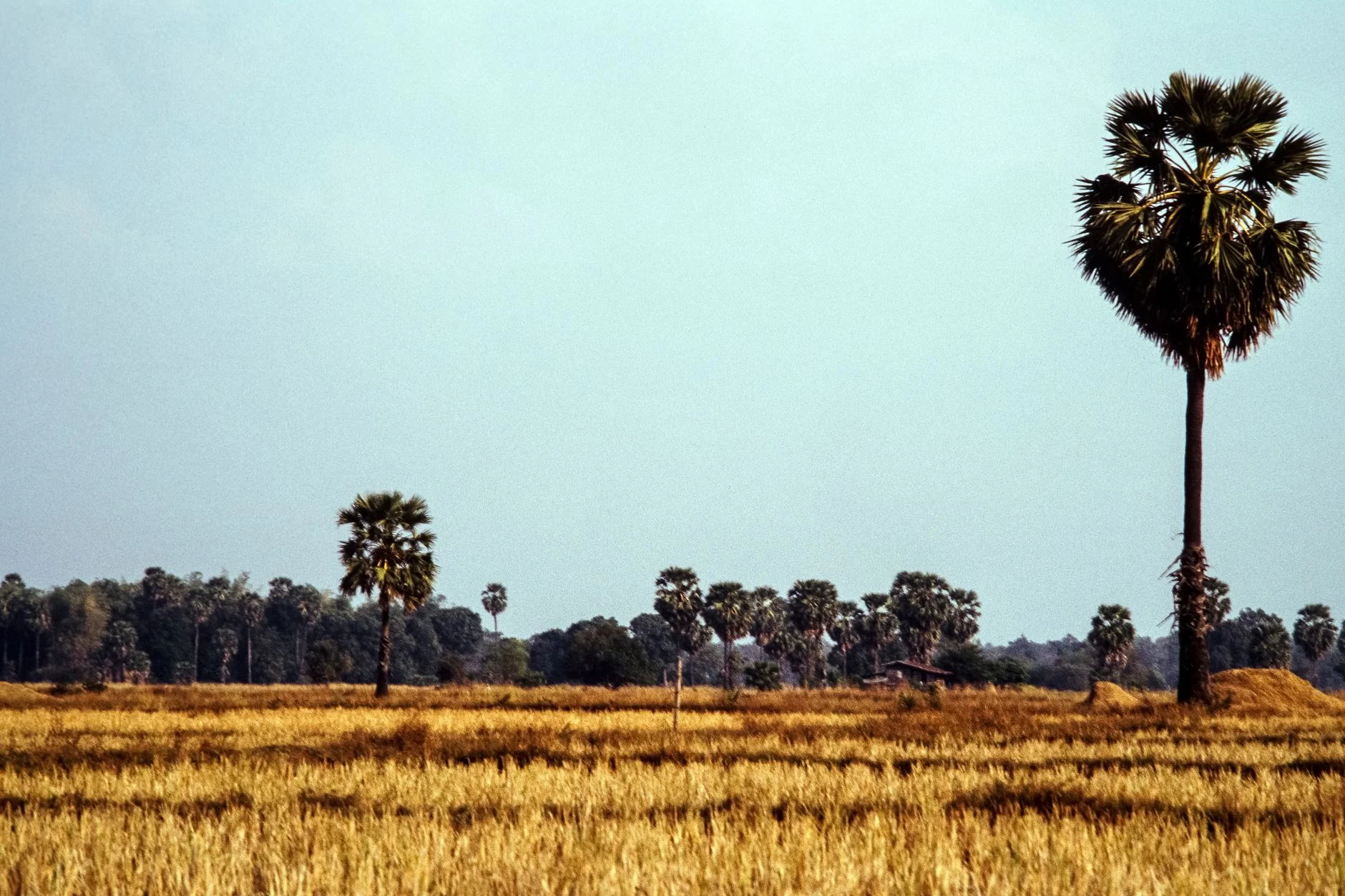 Thailand countryside scenery