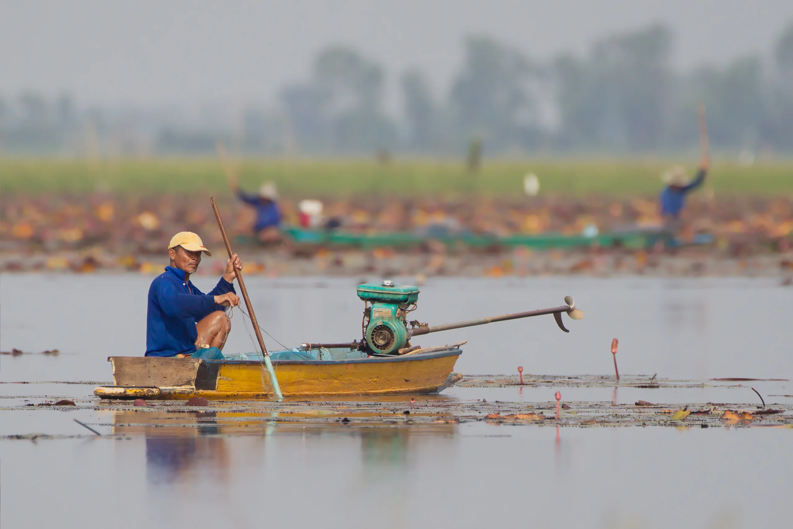 Fisherman on the lotus-covered water of Bueng Boraphet, Nakhon Sawan