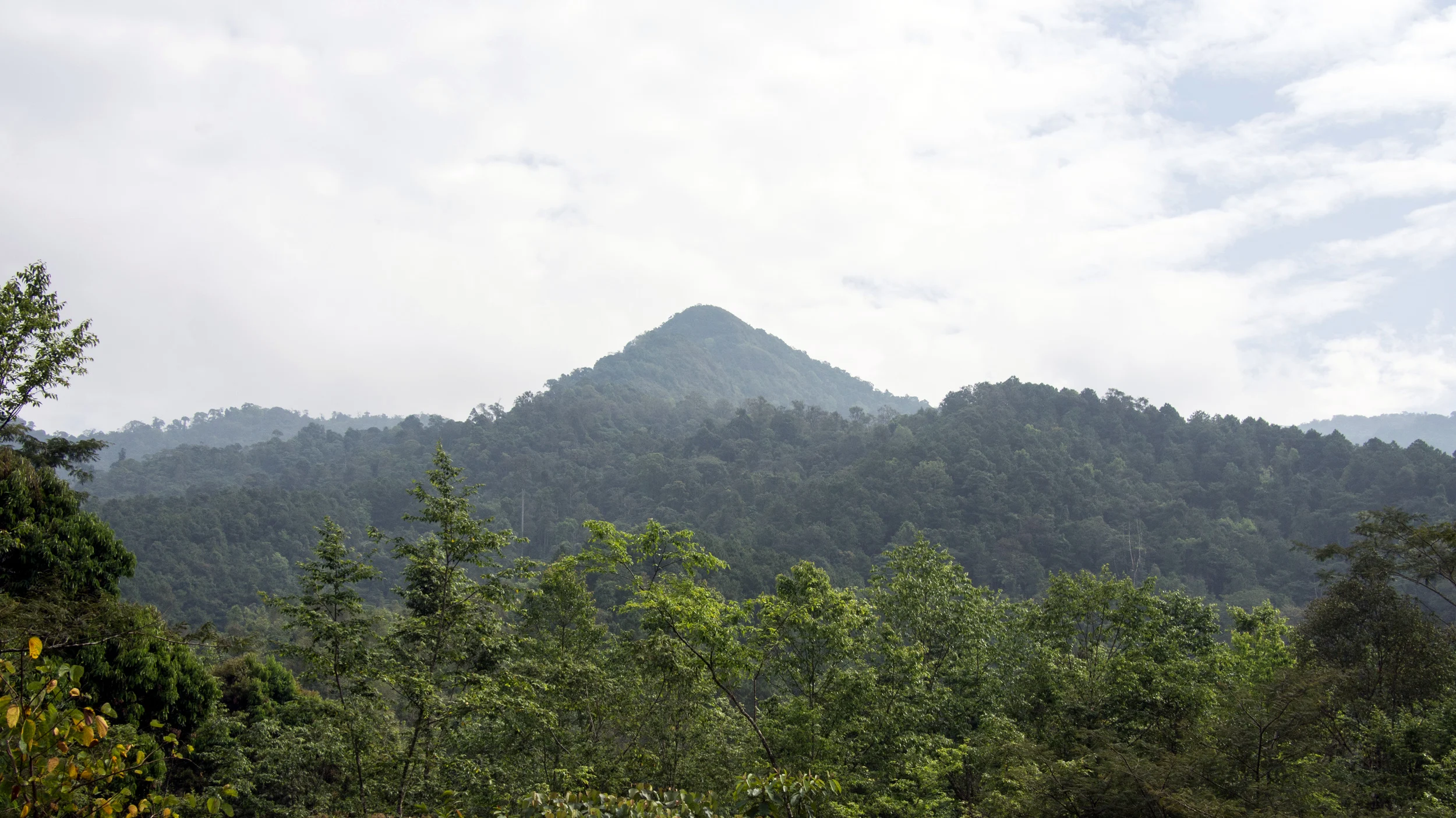 Forested mountains of Doi Phu Kha National Park, Nan