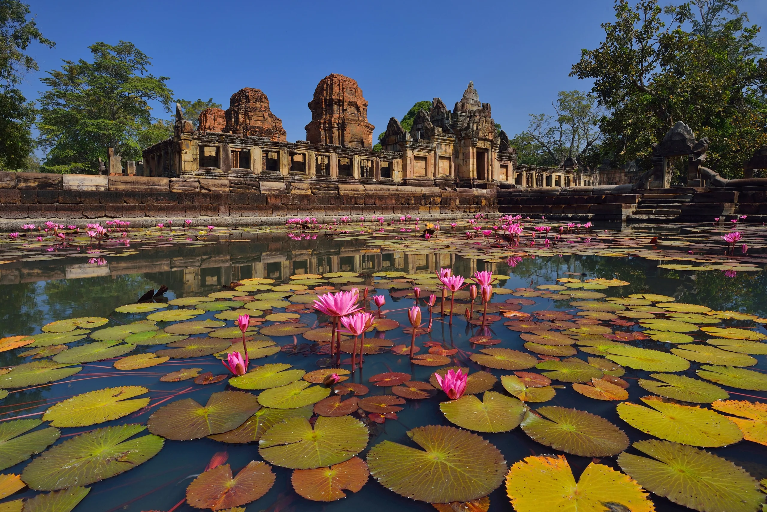 Lotus ponds in front of Prasat Muang Tam temple, Buriram