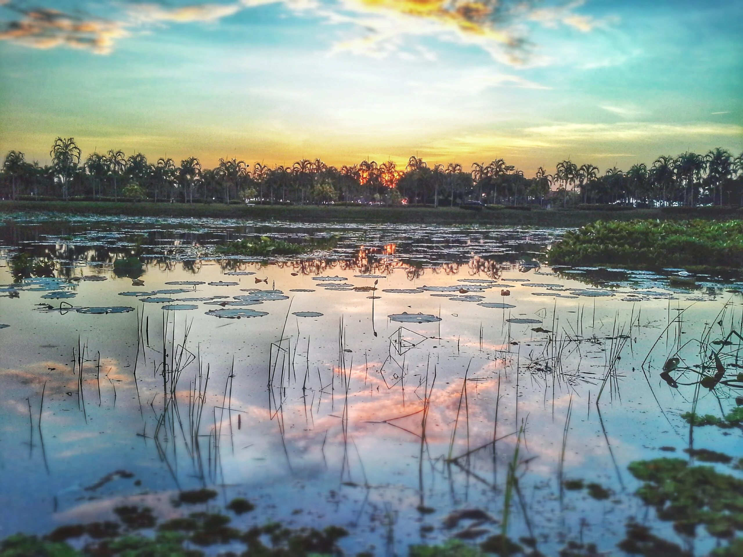 Sakon Nakhon: Indigo, Temples and Zero Tourists
