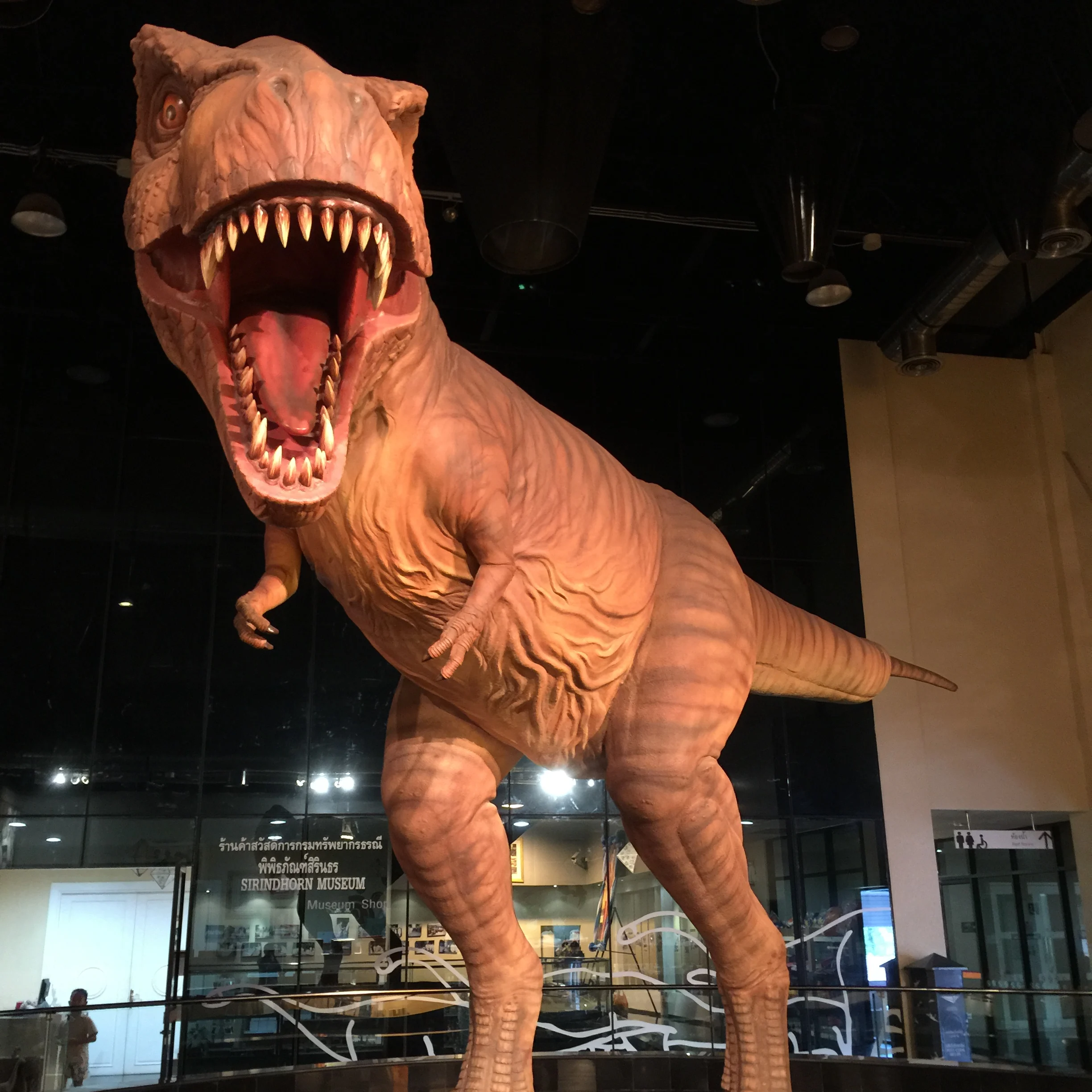 Towering carnivorous dinosaur model inside the Sirindhorn Museum in Kalasin, Thailand