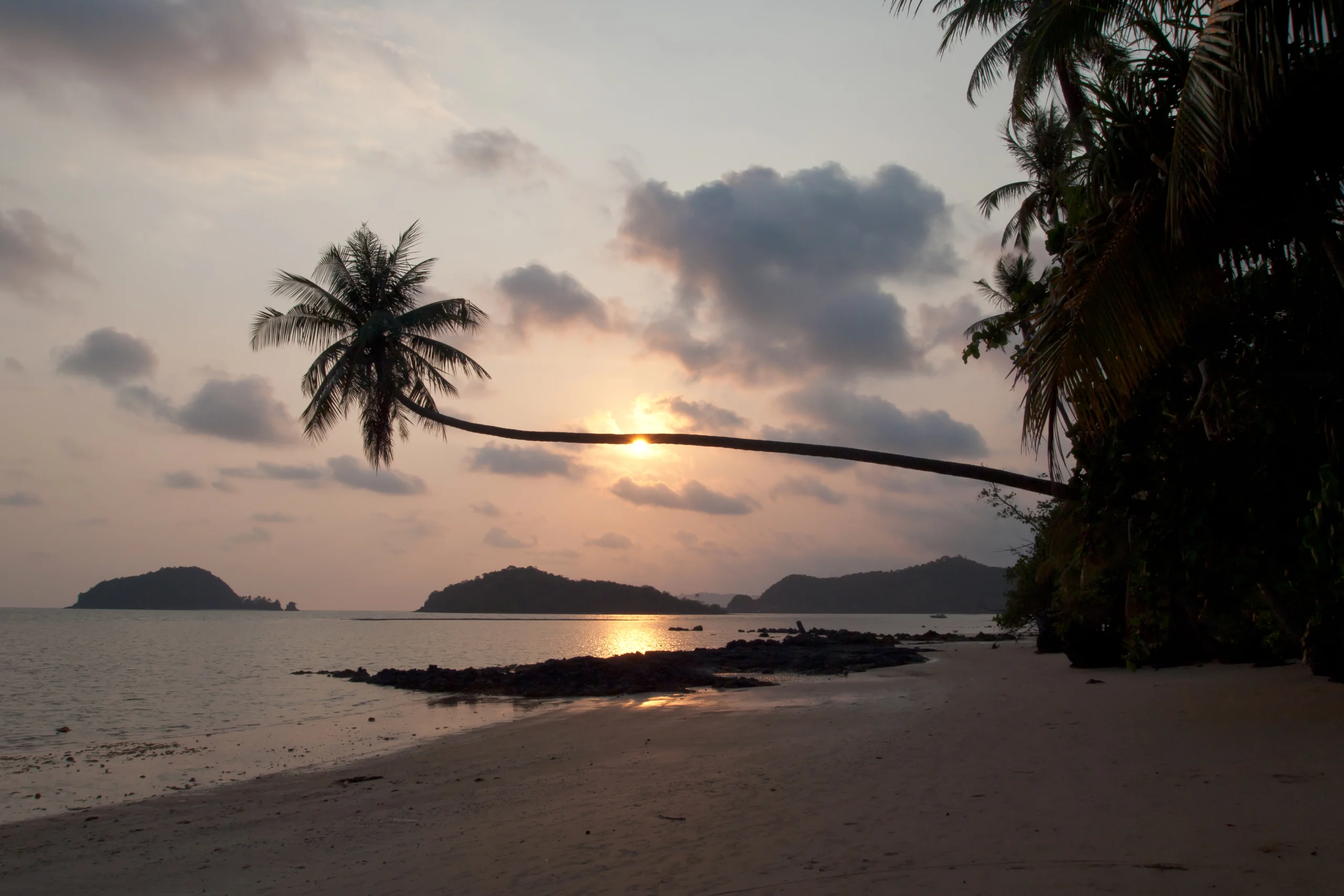 Leaning palm silhouetted against the sunset on Ko Mak, Trat
