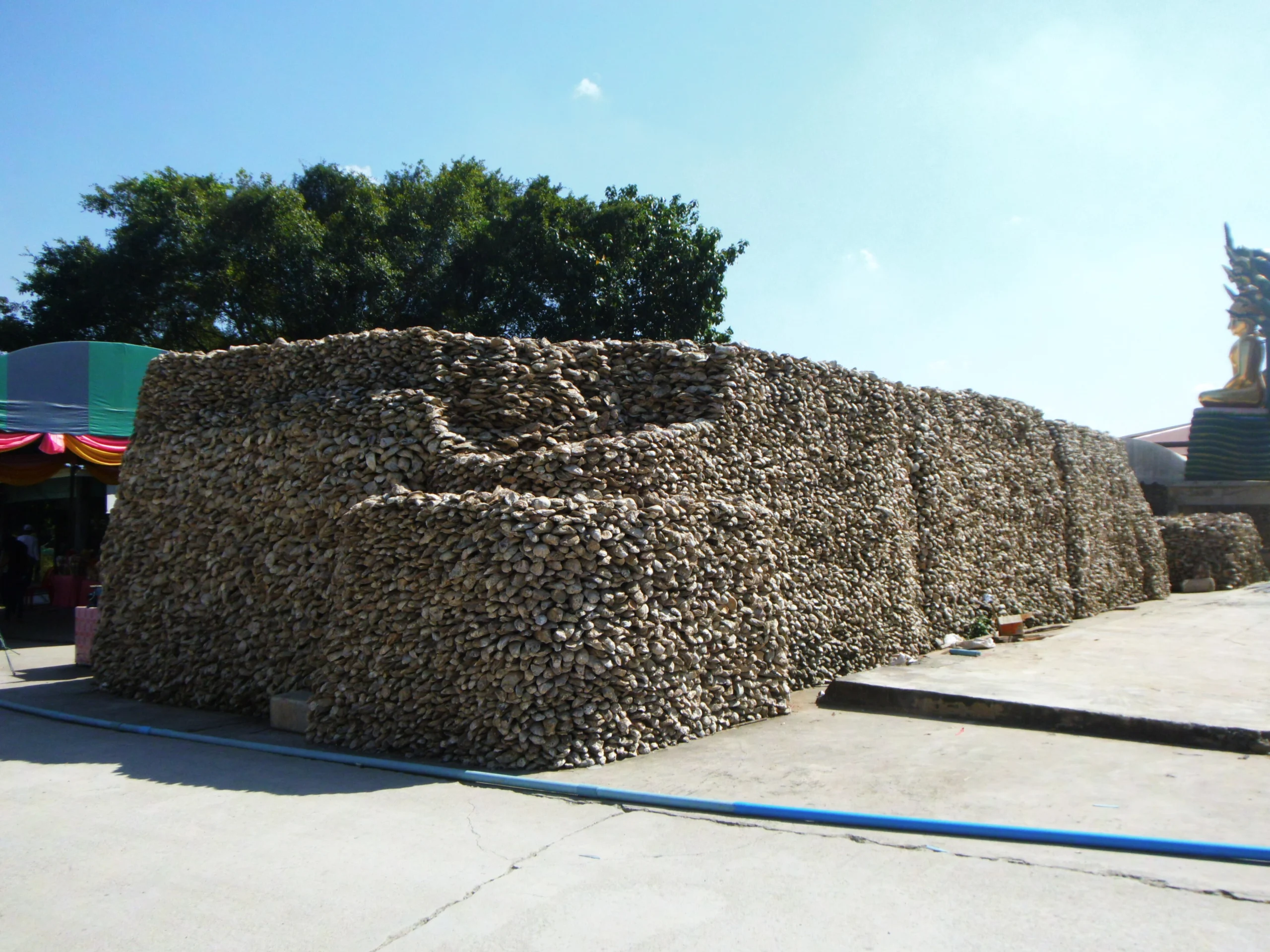 Chedi built from fossil oyster shells at Wat Chedi Hoi, Pathum Thani