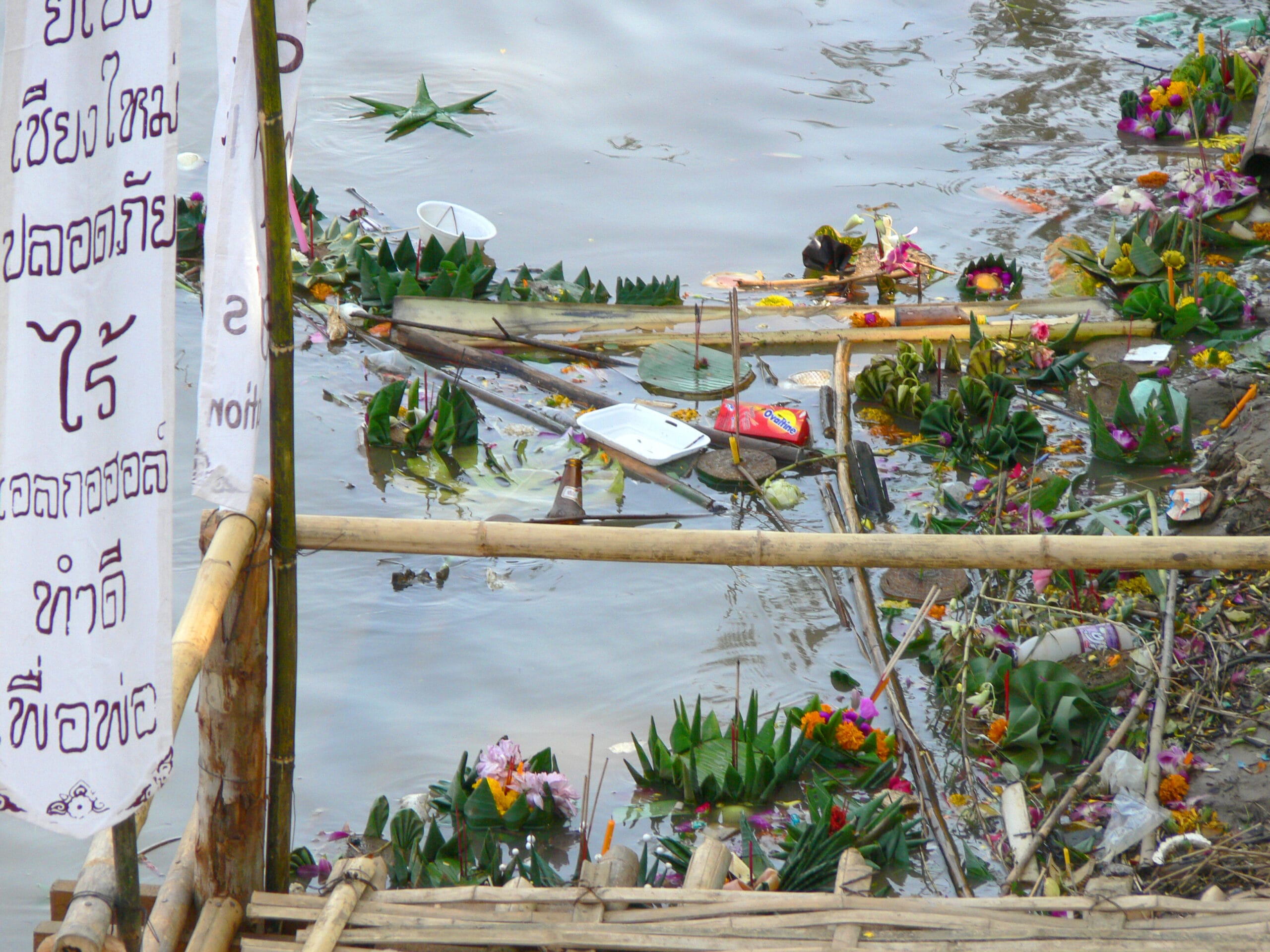 Krathongs collected on the Ping river the morning after Loy Krathong
