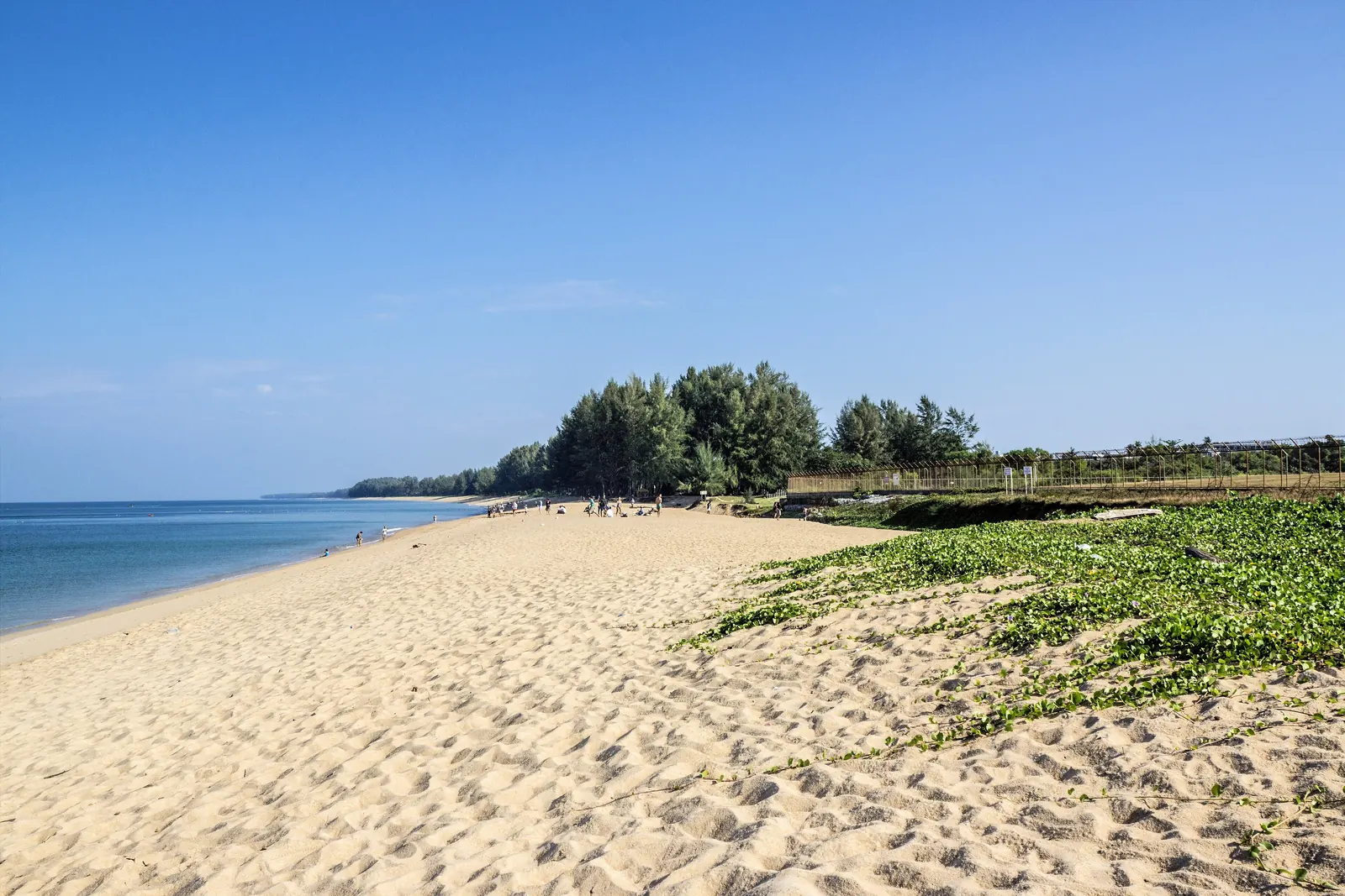 Mai Khao beach at the northern end of Phuket, beside the airport runway