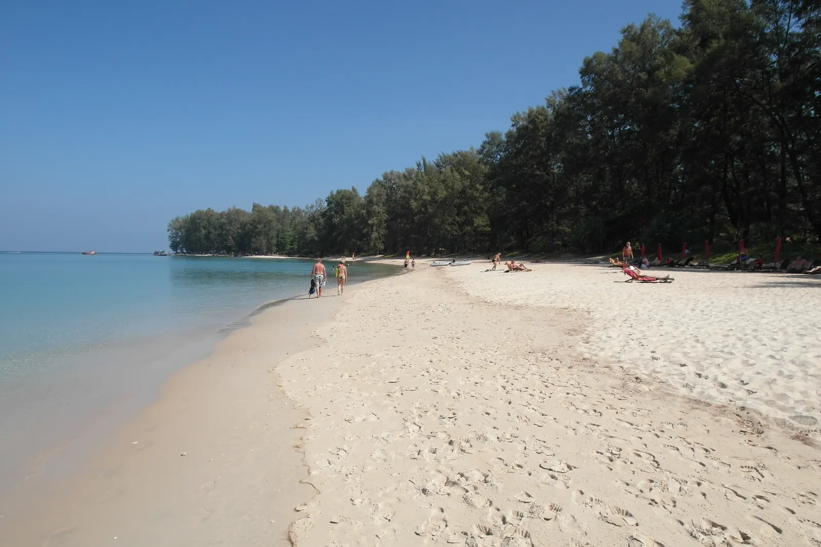 Nai Yang Beach in northern Phuket, calm shallow water and pale sand under casuarina trees